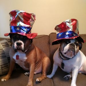 Meet your Posher, Eve